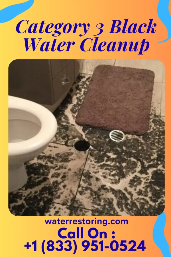 Category 3 Black Water Cleanup in Lostant, IL
