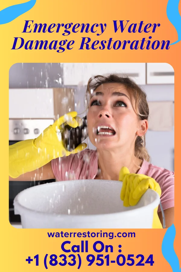 Emergency Water Damage Restoration in Lostant, IL